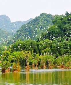 Cuc Phuong National Park