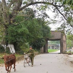 Duong Lam Ancient Village Hanoi Tour packages