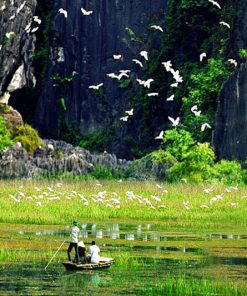 Explore Thung Nham Bird Garden Ninh Binh