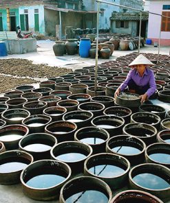 Fish Sauce Making Family Hanoi tours expert