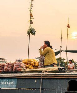 Floating Market - Hanoi Local Tours