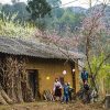 Ha Giang - Hanoi local tours