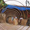 Hanoi Handicraft Villages - Hanoi village tours