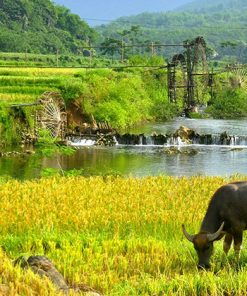 Hanoi day tour - Pu Luong Odyssey Tour