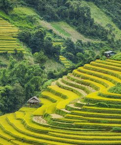 Bac Ha Market in Sapa Tour