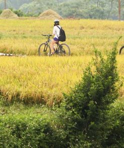 Hanoi bike tour - Hanoi day tours