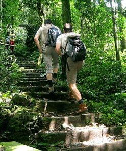 Hiking at cuc phuong national park- Hanoi local tours