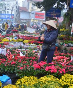 Hoang Hoa Tham Flower Market Hanoi local tour packages