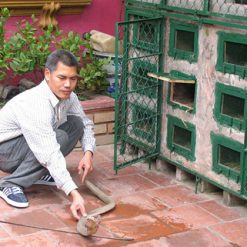 Le Mat Snake Village Hanoi tour packages