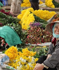 Long Bien Flower Market