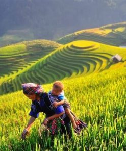 Mu Cang Chai - Hanoi Local Tours