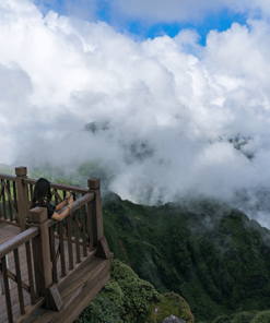 Majestic Sapa Fansipan - Hanoi local tours