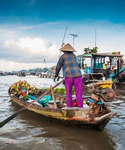 Mekong Delta Tours - Hanoi Local Tours