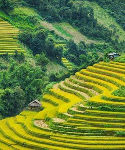 Mu Cang Chai Hanoi Sapa Tour