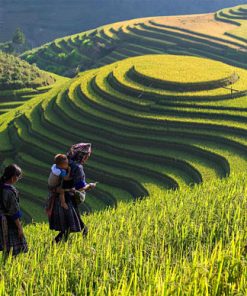 Mu Cang Chai - Hanoi local tours