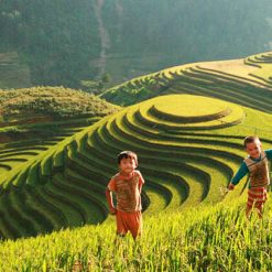 Muong Hoa Valley Sapa - Hanoi Local Tour Packages