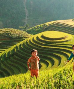 Muong Hoa Valley Sapa - Hanoi Local Tour Packages