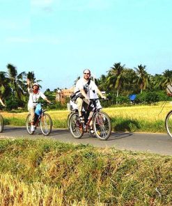 Amazing Ninh BInh Bike Tour