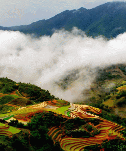 Northwest-of-Vietnam-Adventure-Tour--5-Days