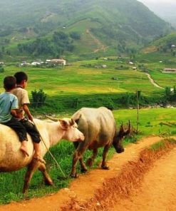 Peaceful Ta Van Village - Hanoi tour packages