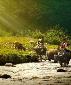 Pu Luong Mai Chau Trekking Tour