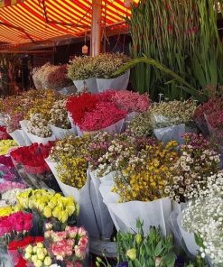 Quang Ba Market