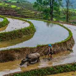 Sapa – Can Cau Market Tour