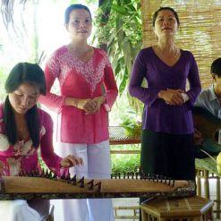 Southern Vietnamese Folk Music - Hanoi Local Tours