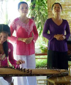 Southern Vietnamese Folk Music - Hanoi Local Tours