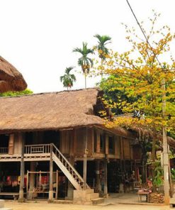 Stilt House in Mai Chau - Hanoi Tour Packages