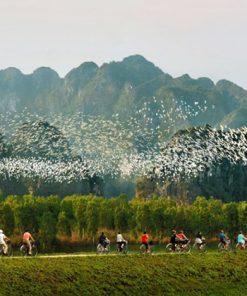 Thung Nham Bird Garden