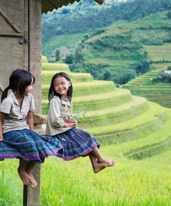 Treasure of Northern Vietnam