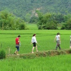 Trekking in Mai Chau - Hanoi tour packages