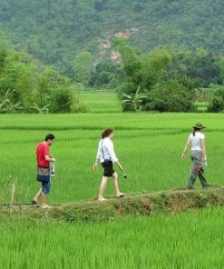 Trekking in Mai Chau - Hanoi tour packages