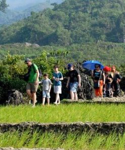 Trekking in Ta Chai Village - Hanoi Tour Packages