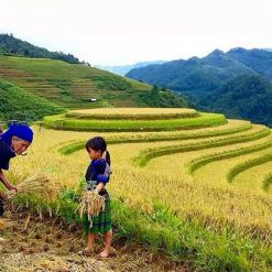 Tribal Villages in Sapa Tours