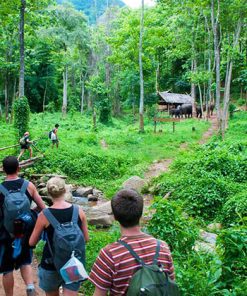 Cuc Phuong National Park - Hanoi local tours