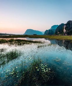 Van Long Nature Reserve in Ninh Binh Hanoi tour packages