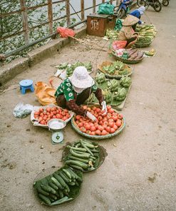 Market on Long Bien Bridge Hanoi tour packages