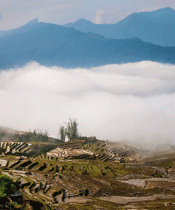 Ta Xua Nature Reserve - Hanoi local tours