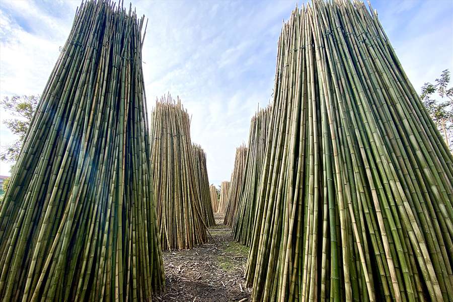 Xuan Lai Burnt Bamboo Village - Hanoi village tours