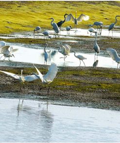 Xuan Thuy National Park Hanoi tours by locals