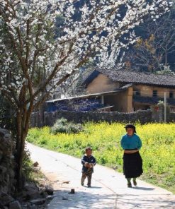 visit ha giang in day trips hanoi